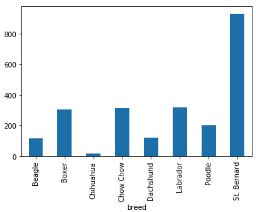 A bar plot of the average weights of dogs, in kilograms, split by breed. St. Bernard dogs are the heaviest, while chihuahuas are the lightest.