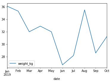 A line plot of the weight of a dog named Sully over time. The weight fluctuates between 27 and 36 kilograms.