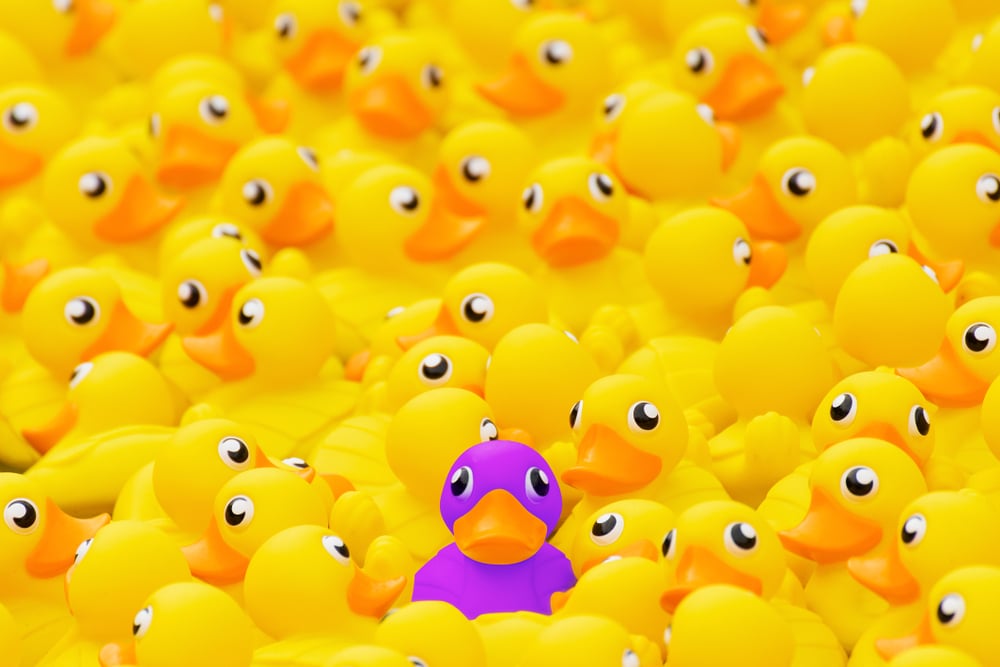 purple-duck-with-yellow-ducks