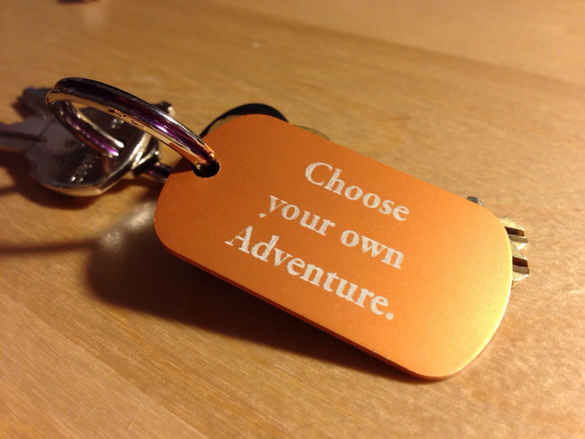 choose your own adventure