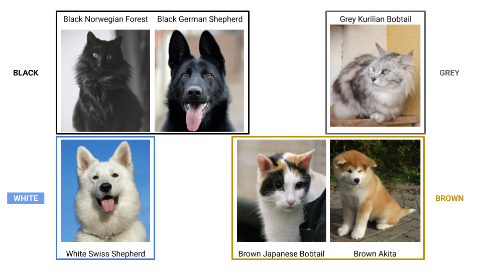 dogs and cats by color