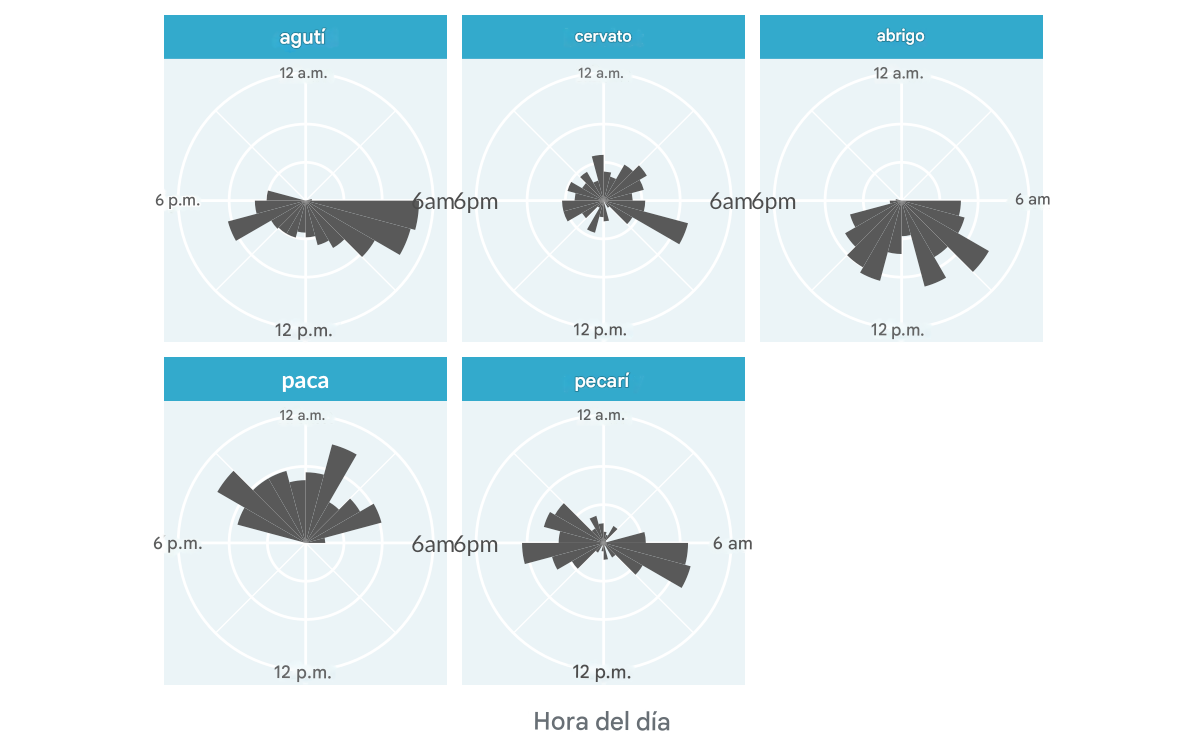 Gráfico de rosas de la actividad animal a diferentes horas
