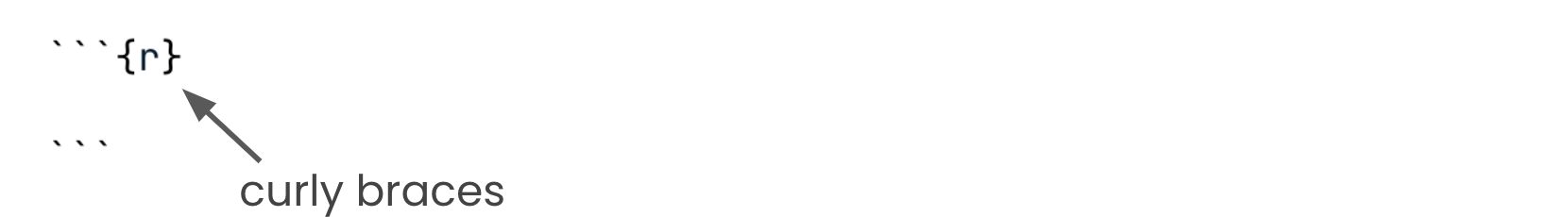 empty code chunk with labeled curly braces.png
