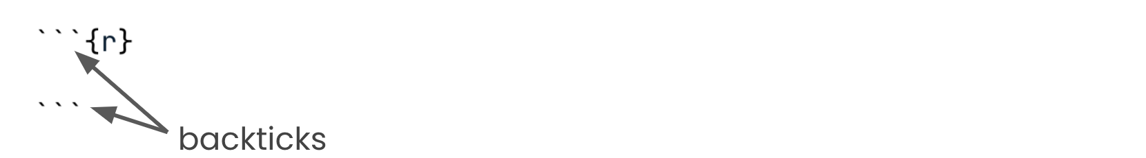empty code chunk with labeled backticks.png