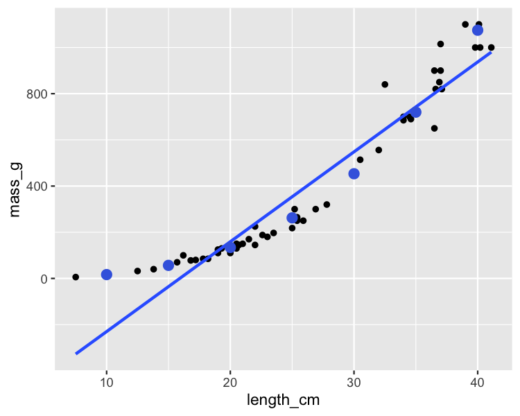 The scatter plot of perch masses versus their lengths, with a trend line, annotated with points calculated from the predict() function. The points don't follow the trend line but they do follow the curve of the data points.