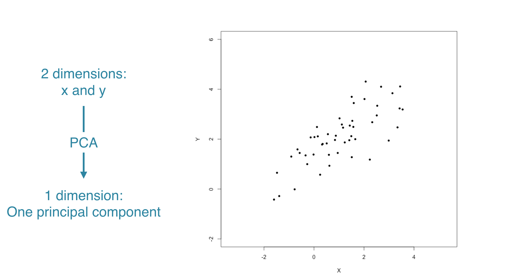 scatter plot