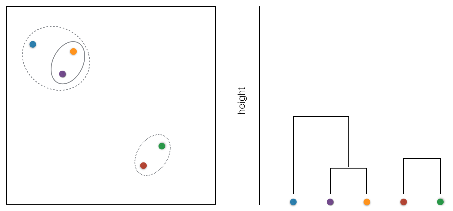 two clusters and a point are joined in the dendrogram