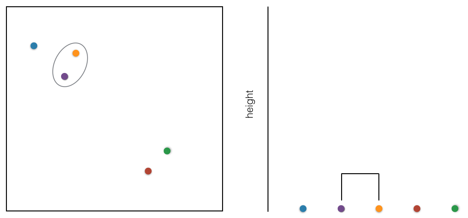two cluster points are joined in the dendrogram
