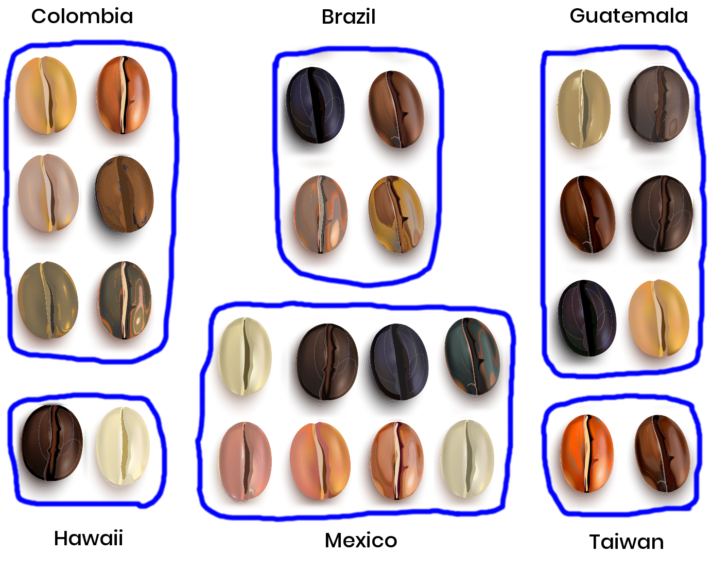 Coffee beans grouped by country of origin.