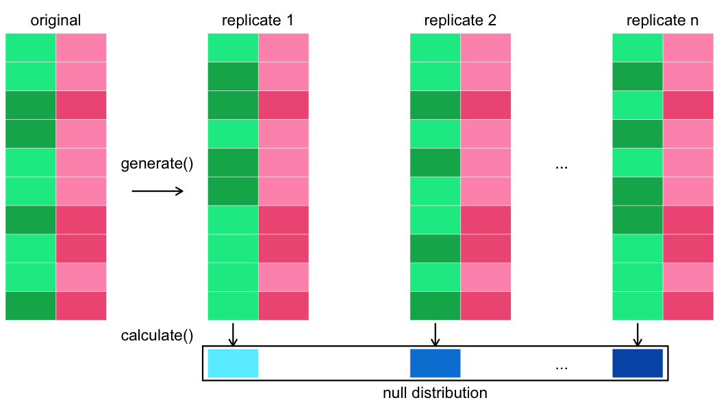 The rectangular grids representing the original dataset and replicates, that you saw in the generation step, are shown. Underneath these, the word 'calculate' is shown, and underneath each replicate is a downward arrow. Underneath each arrow is a single shaded cell representing a test statistic. A box is drawn around all the test statistics for the replicates, and labeled 'null distribution'.