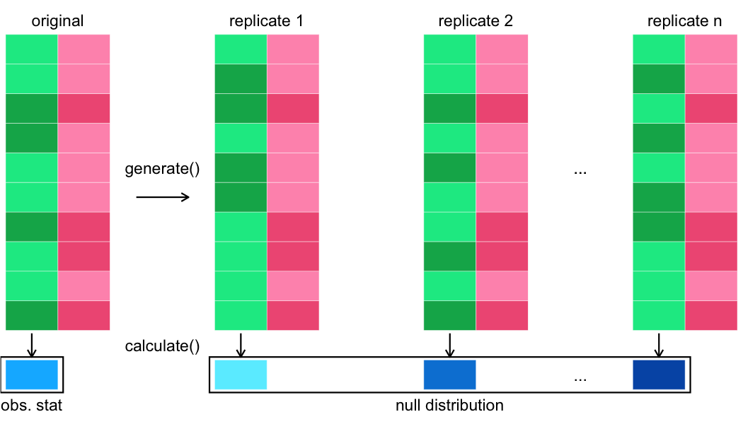 The rectangular grids representing the original dataset and replicates, along with the null distribution cells that you saw in the calculate step, are shown. This time, there is also a downward arrow below the original dataset, and underneath that, a shaded cell. This cell has a box around it labeled 'observed statistic'.