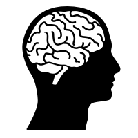 An image showing human brain in a head silhouette
