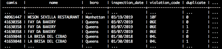 A table of results with two groups of duplicated data for the camis, name, boro, inspection_date, violation_code, and duplicate columns