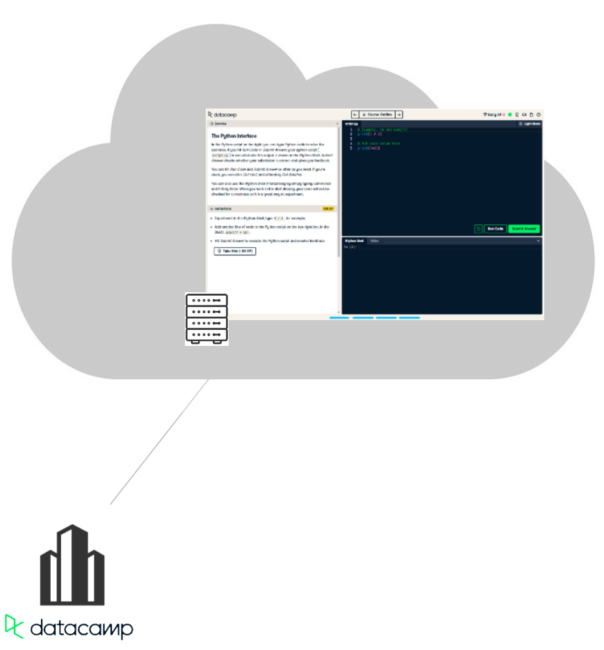 One DataCamp website window in a cloud