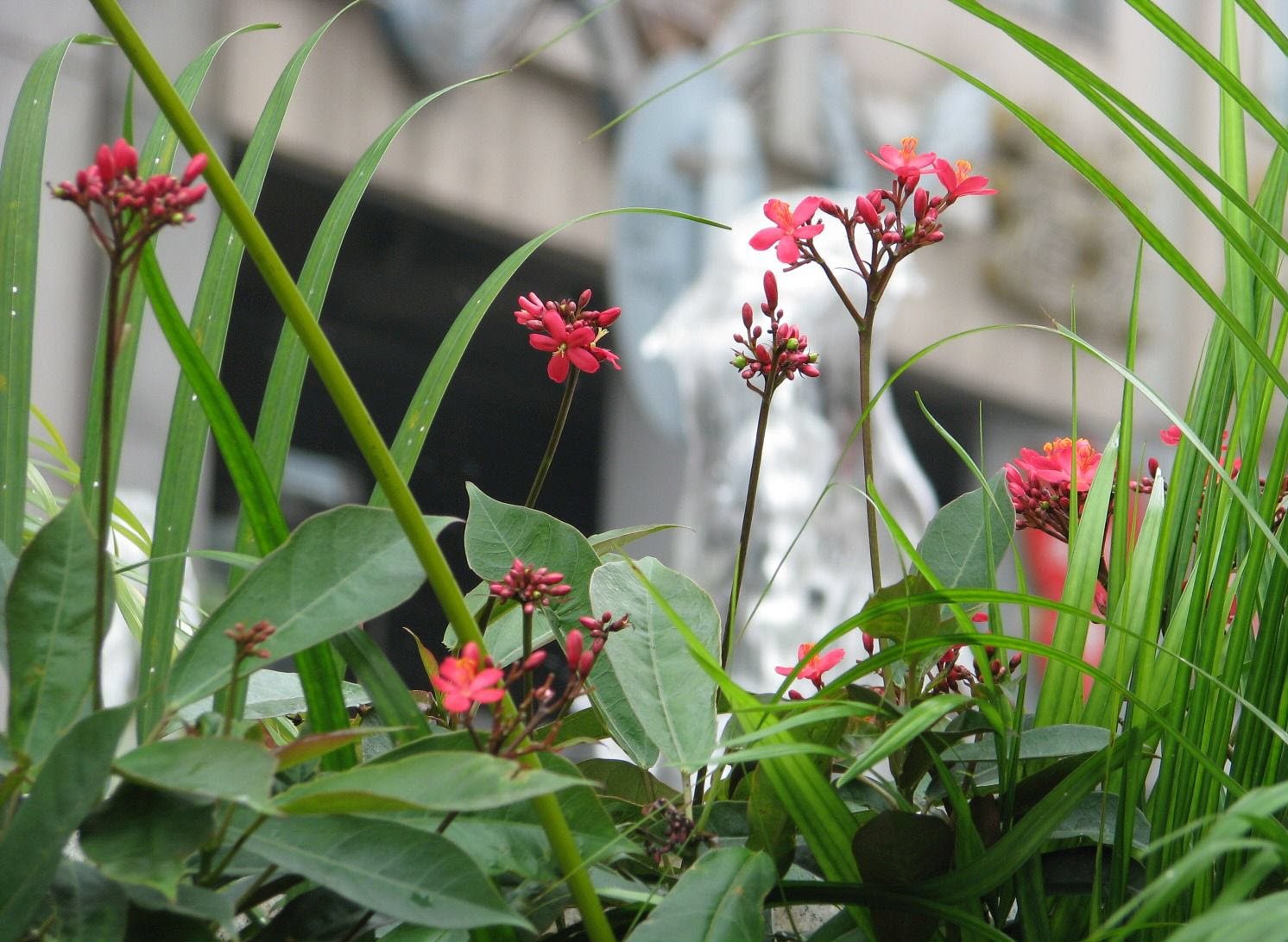 An example of using bokeh to emphasize certain points in an image.