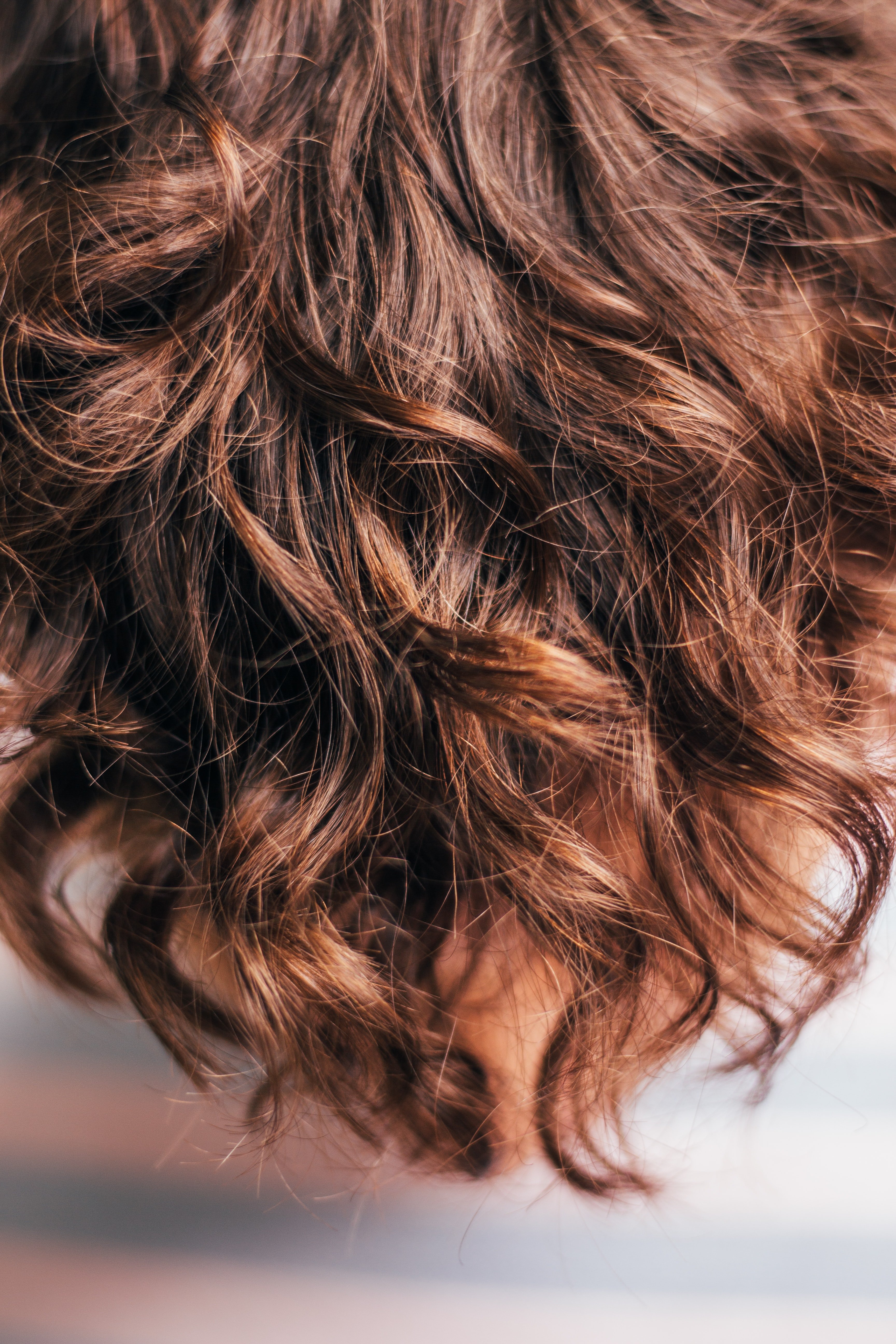 brown_hair.jpg