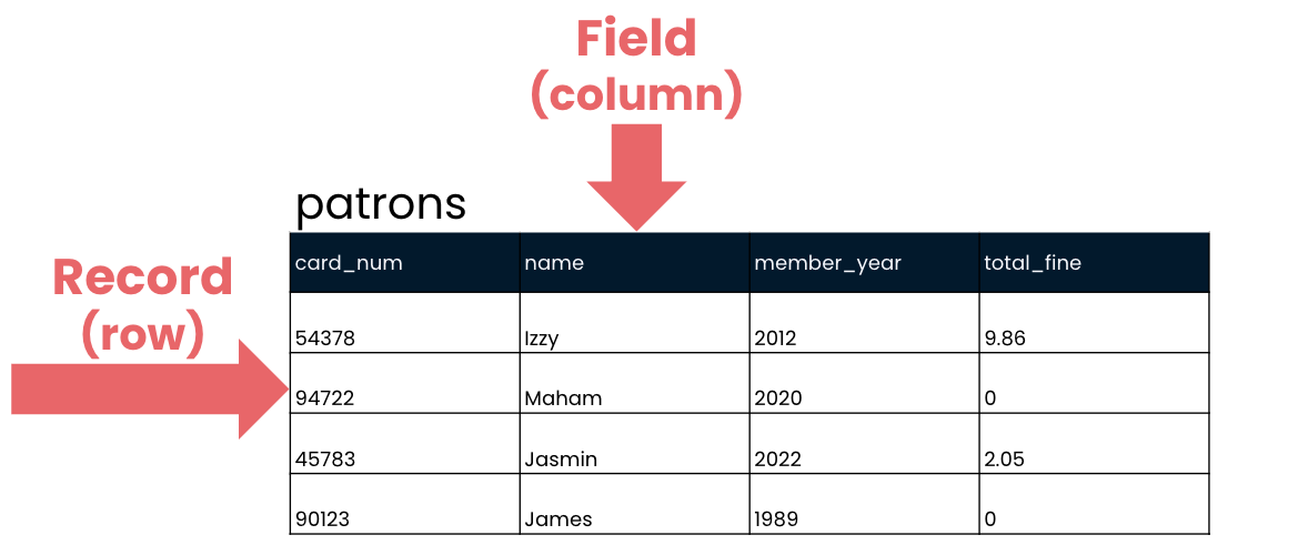 the patrons table with records and fields identified