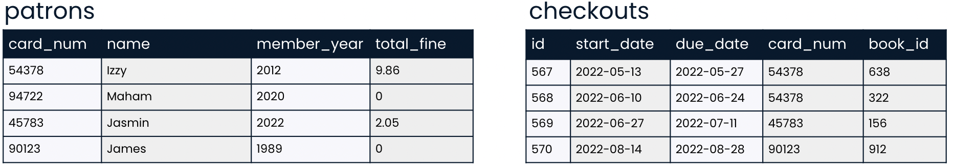 the patrons table and the checkouts table from the library database