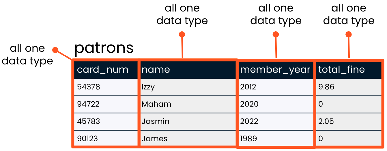 the patrons table with each field highlights and indicated that they are each one data type