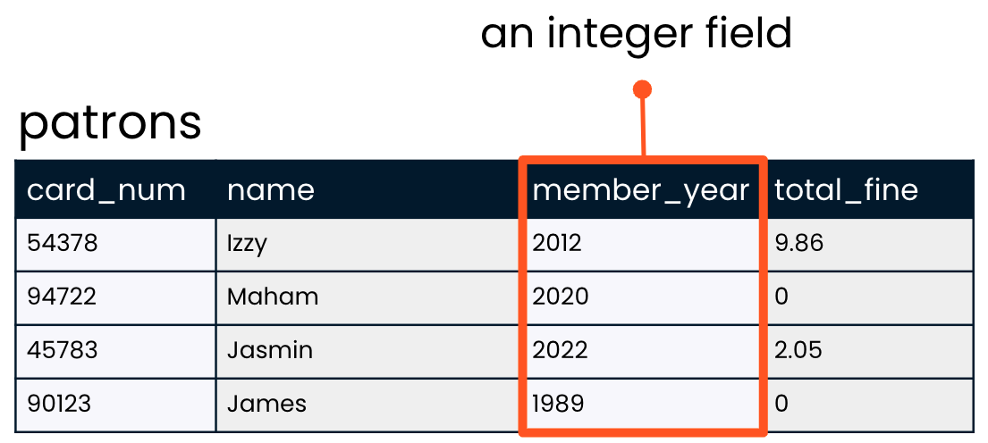 the patrons table with the member_year field highlighted as an example of an integer field
