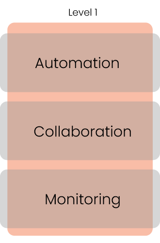 Level 1 maturity