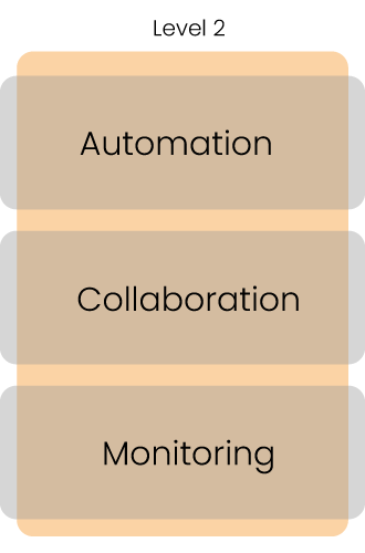 Level 2 maturity