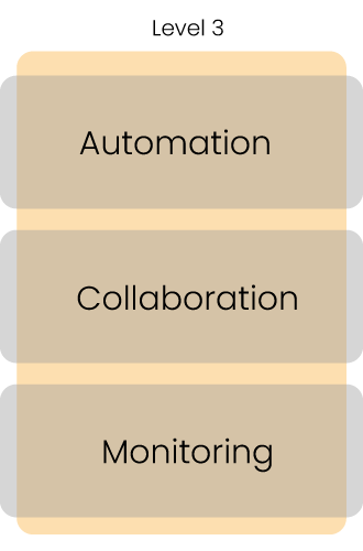 Level 3 maturity