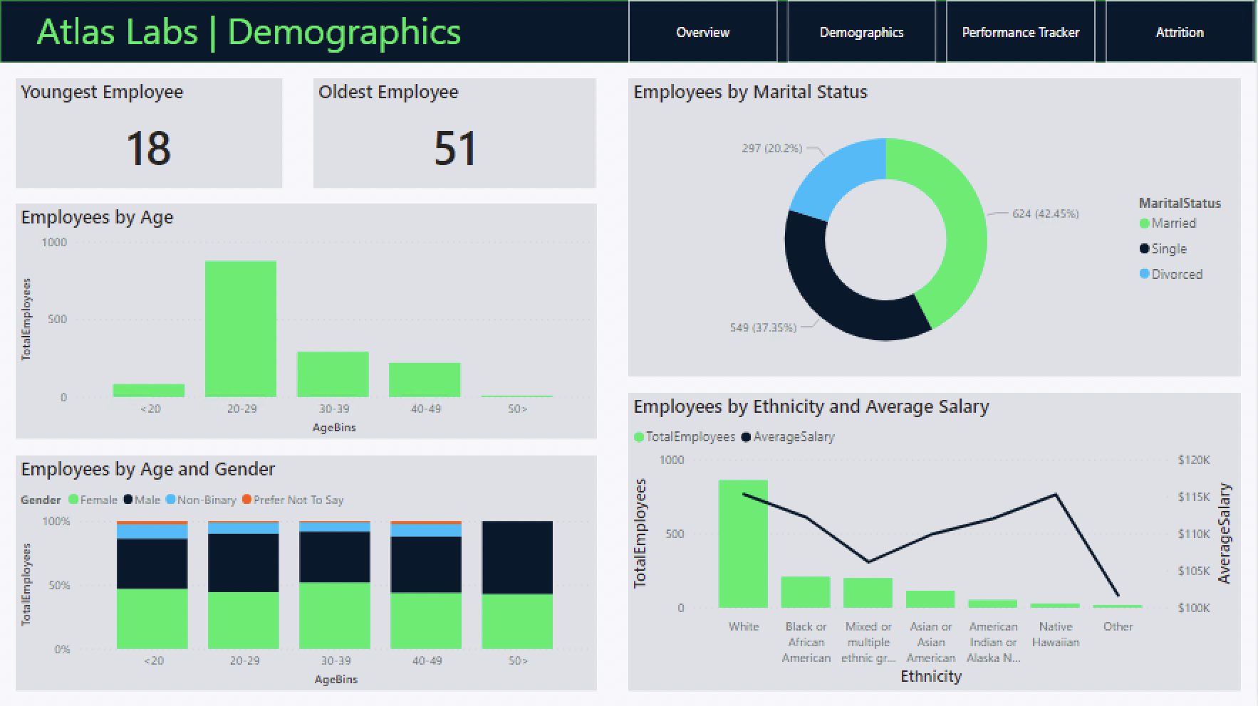 Demographics Page