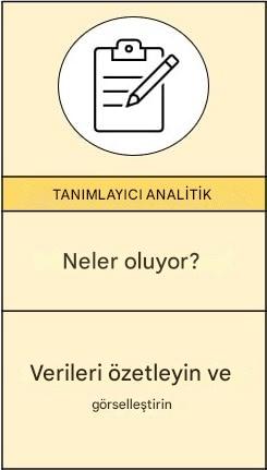 Tanımlayıcı analizlere yakından bakma
