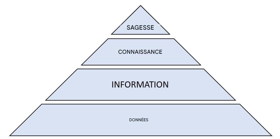schéma de la pyramide DICS