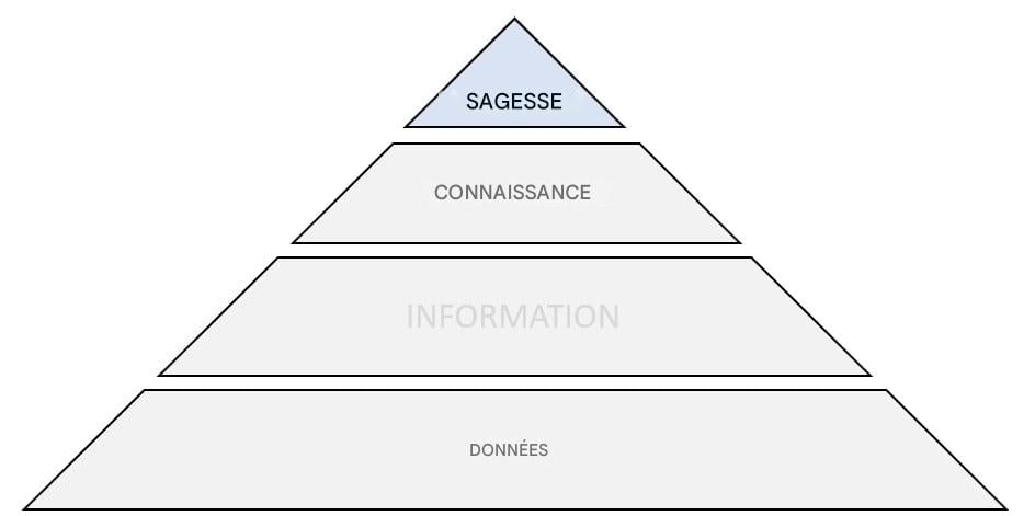 schéma de la pyramide DICS avec l'étape « sagesse » mise en évidence