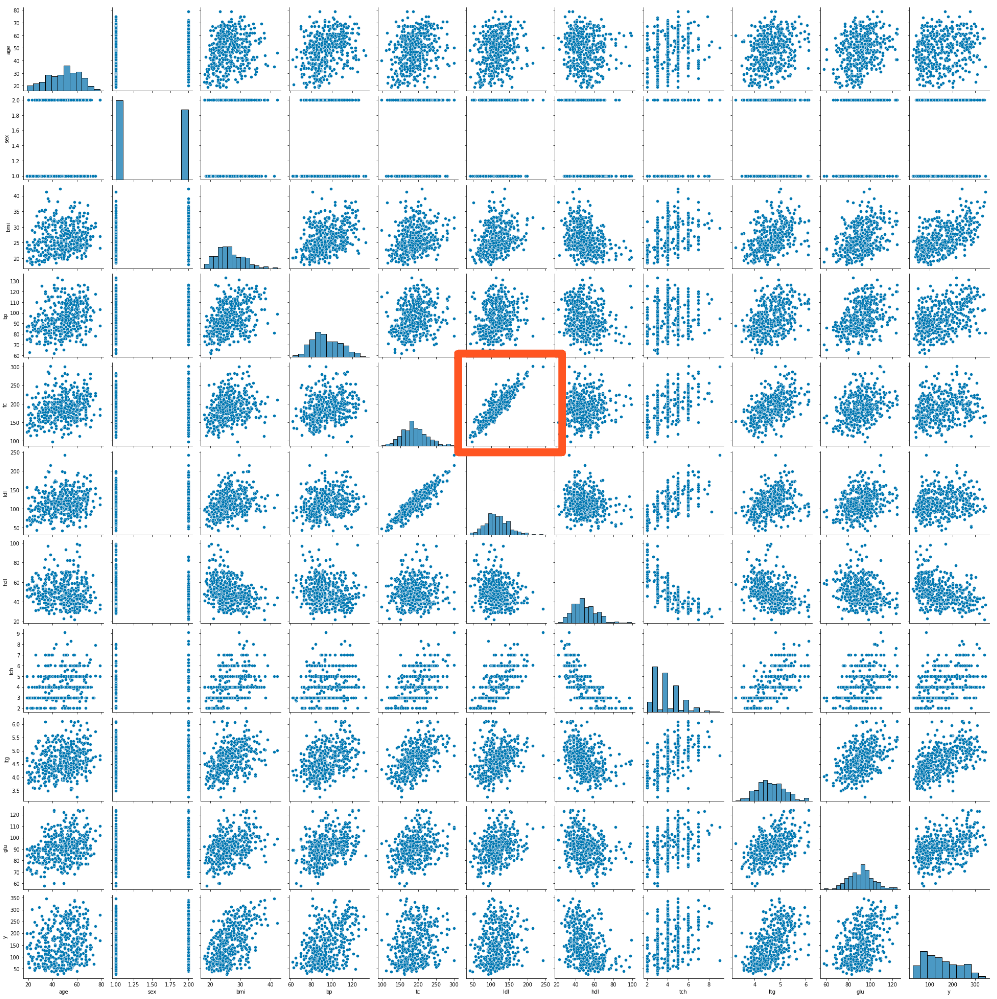 pairplot with tc and ldl highlighted