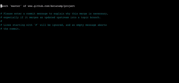 git_pull_nano_editor.gif