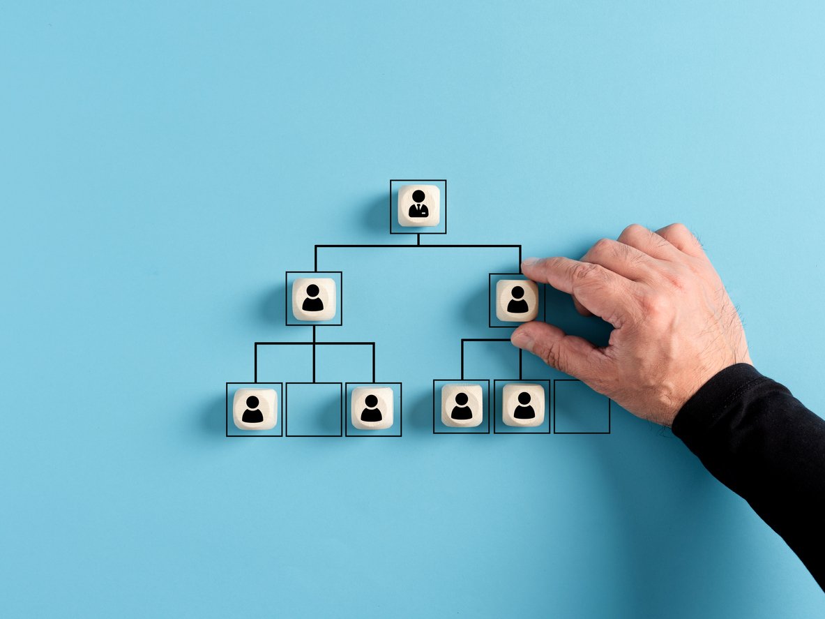 Basic organizational structure chart.