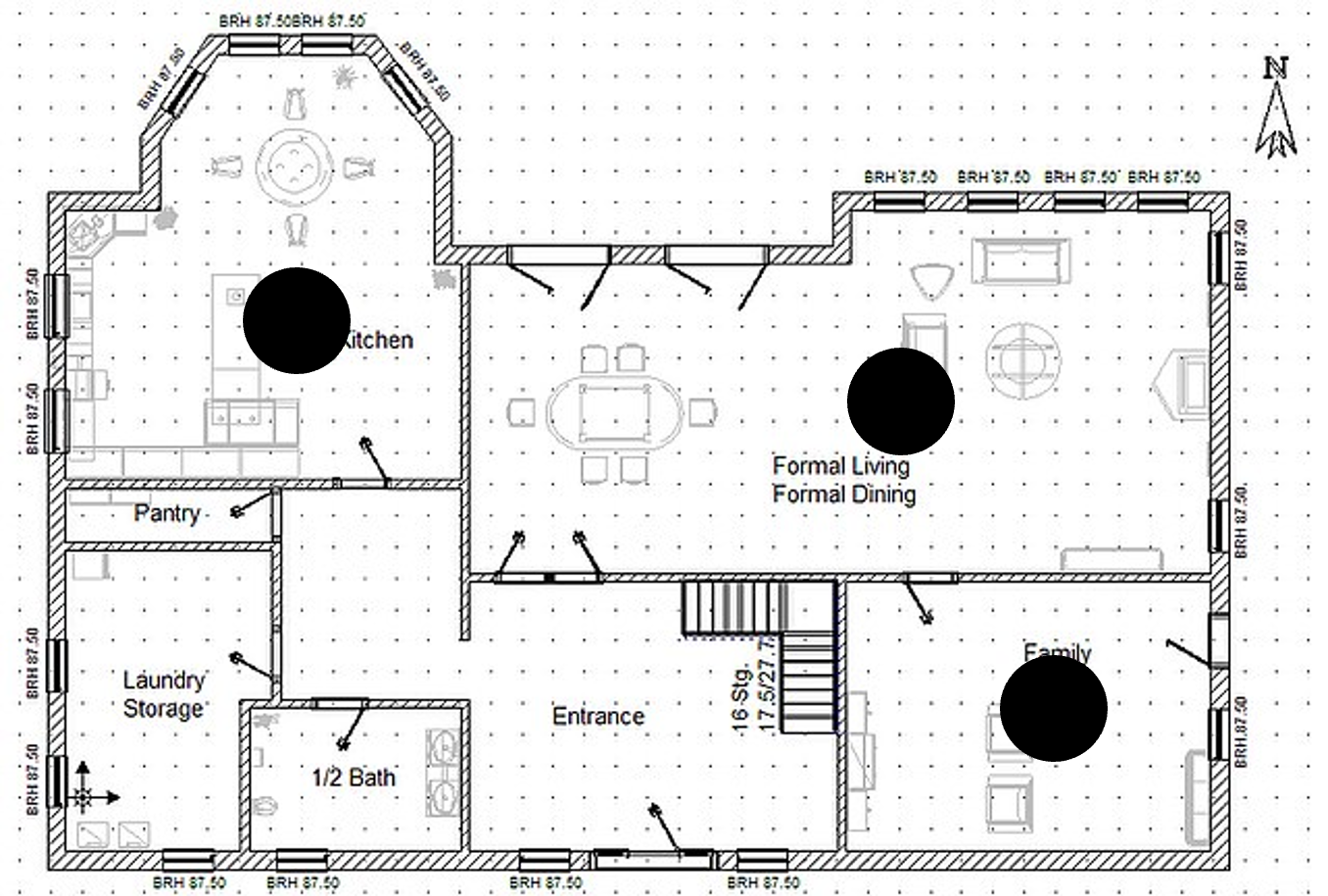 example of a point map on a custom background