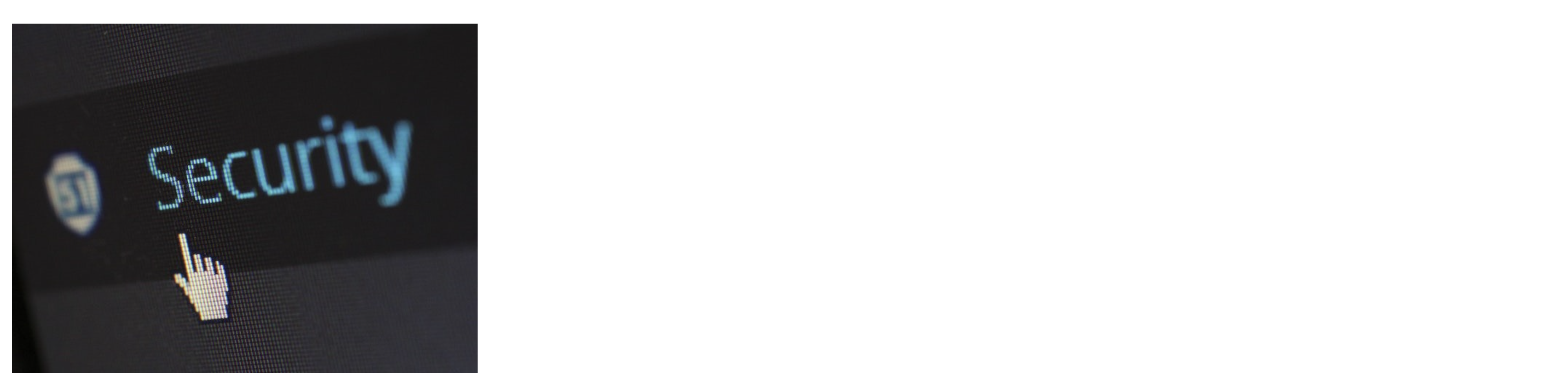 Image of the text "security" with a mouse point hovering over it.