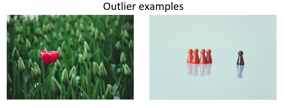 Two examples of outliers: the first one of a red tulip in a field of green and another a single black stick separated from a group of white sticks