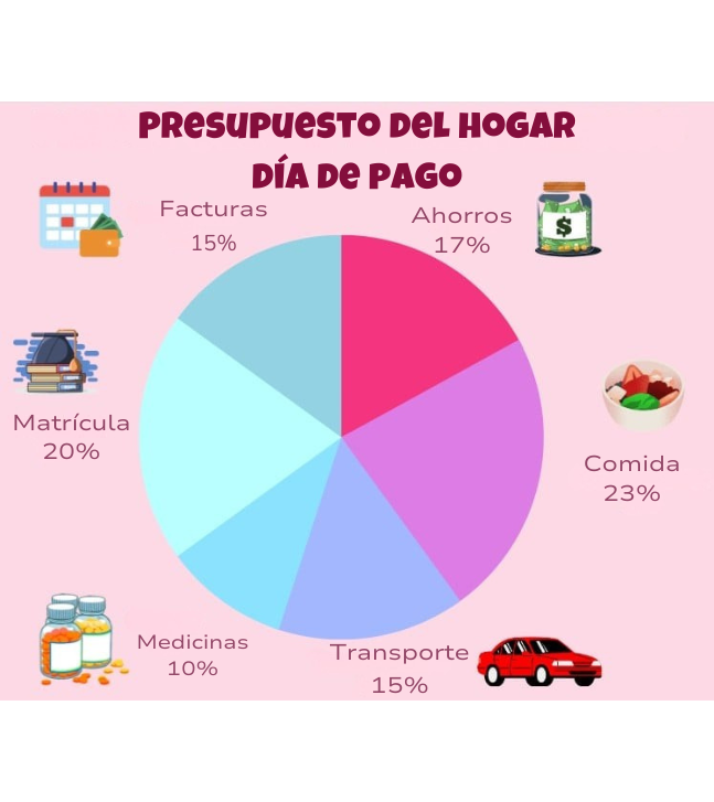 Gráfico circular que compara el porcentaje del presupuesto relativo al salario en los hogares.
