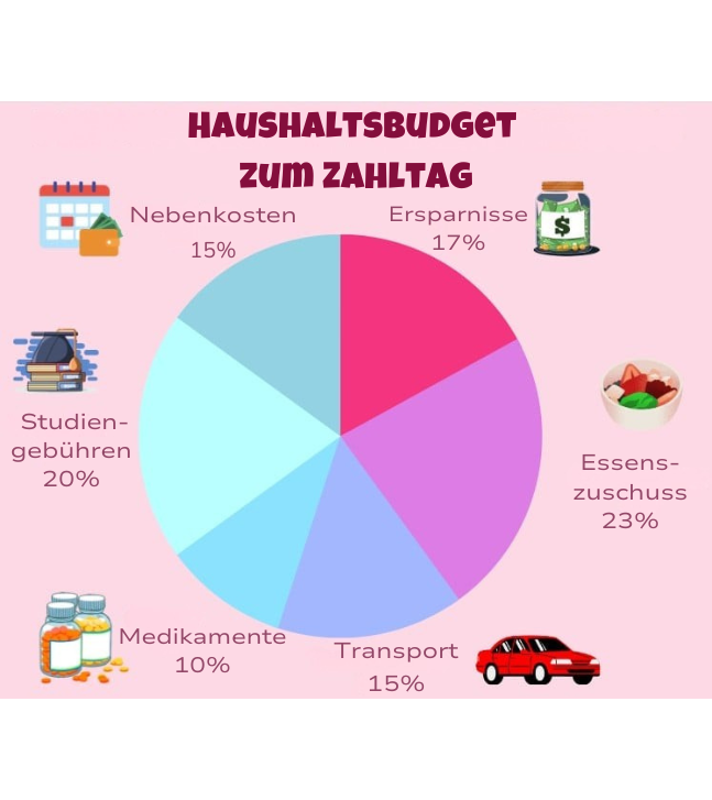 Kreisdiagramm, das den Anteil von Haushaltsausgaben vergleicht