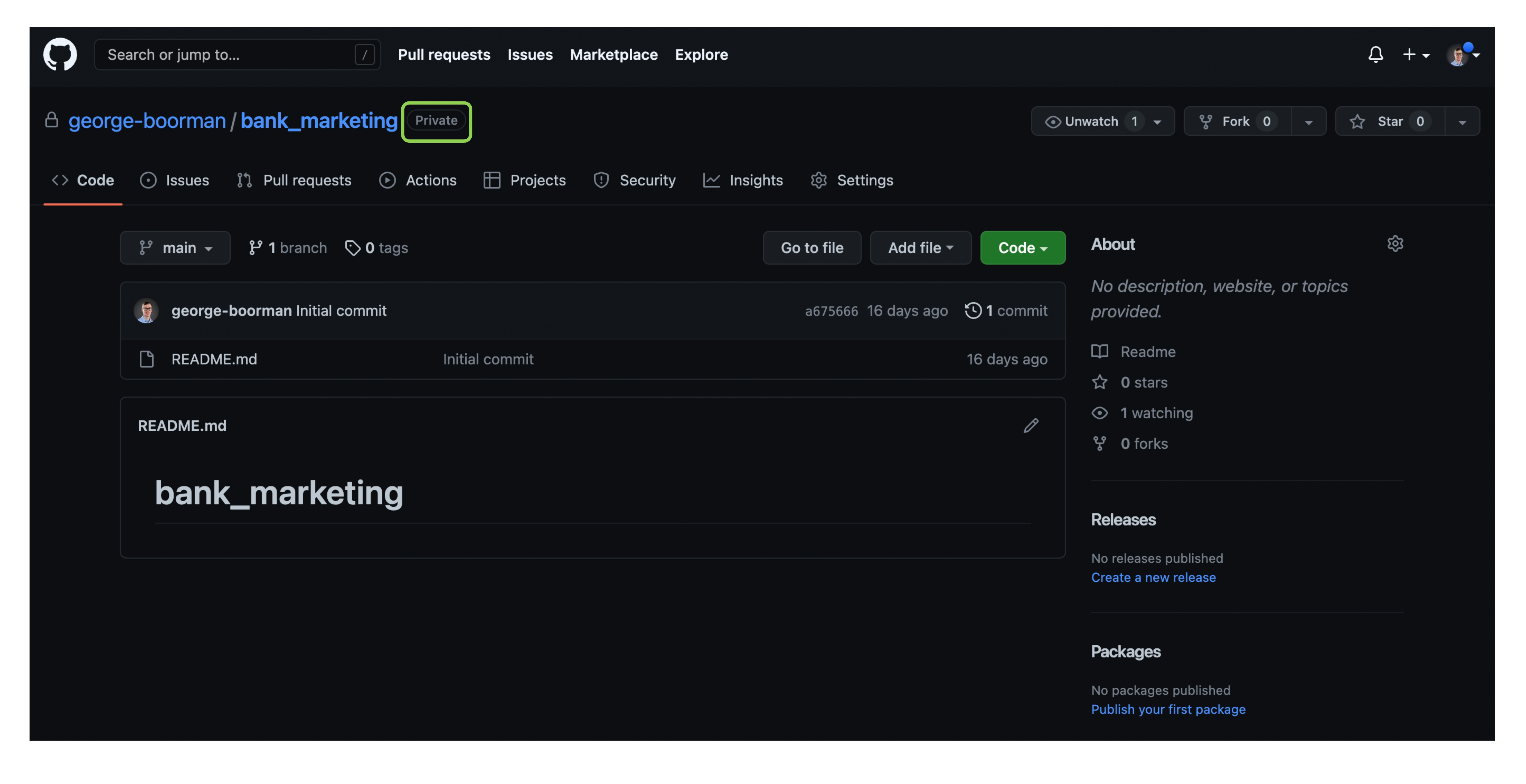 bank marketing repo with "Private" written next to the repo name
