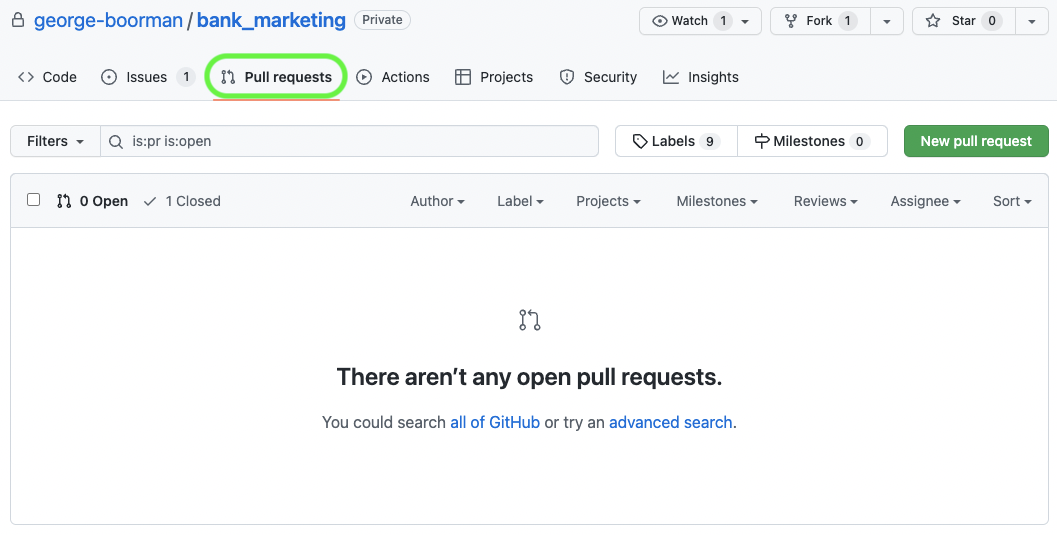 View of the Pull requests tab