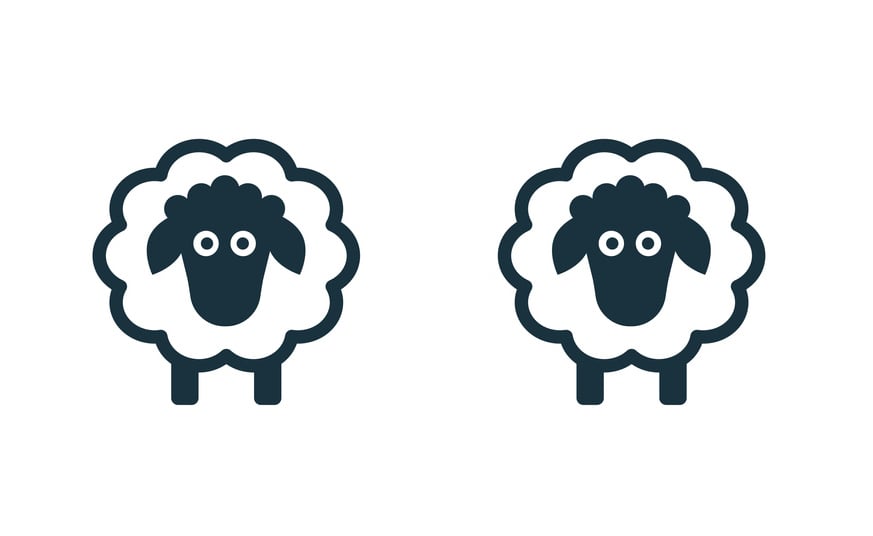 Illustration of two sheep that are identical but separate.