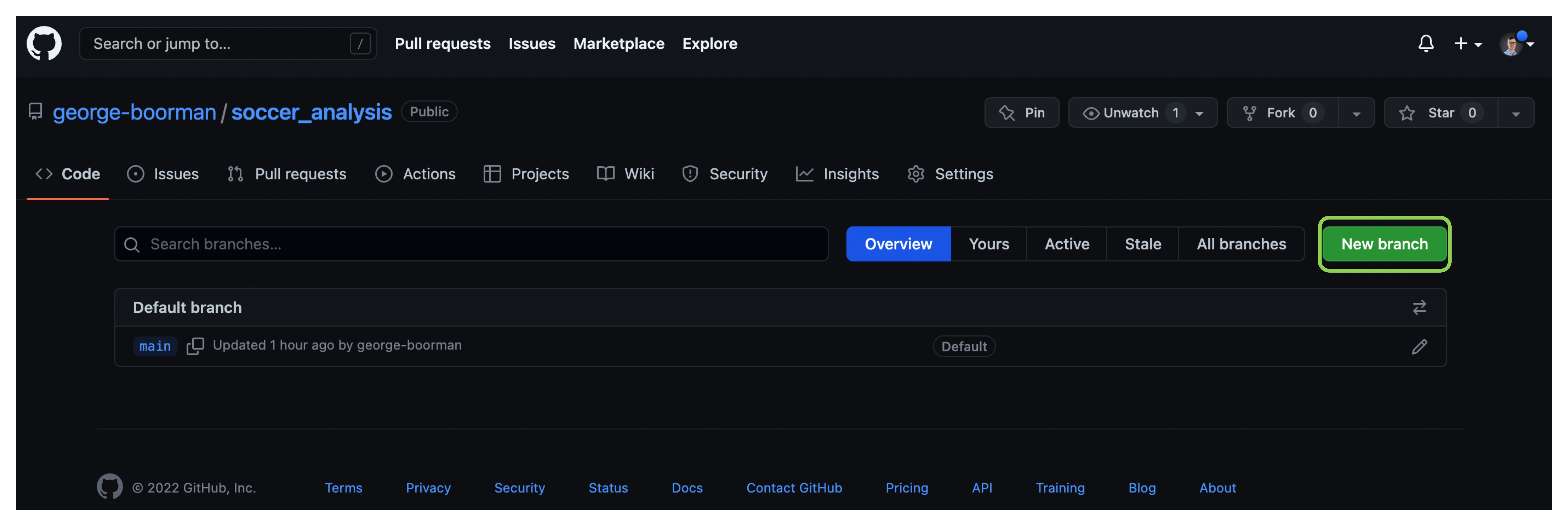 list of branches, showing only main. New branch button to the right in green