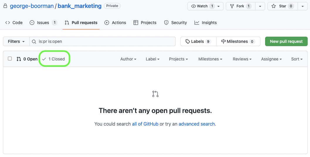 View of the pull requests tab highlighting the prs on the repo