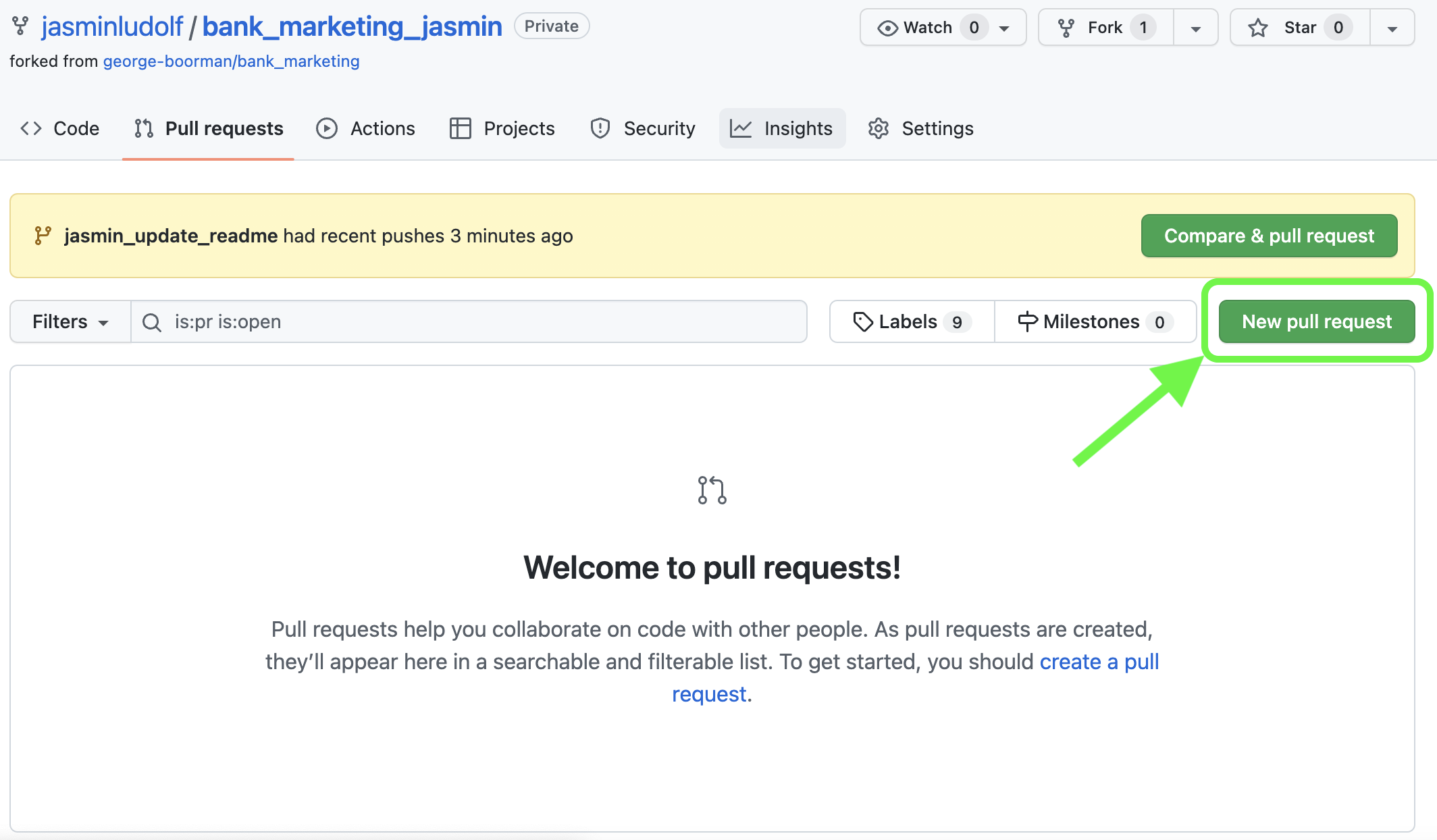 View of the pull requests tab in the forked repo with the new pull request button highlighted