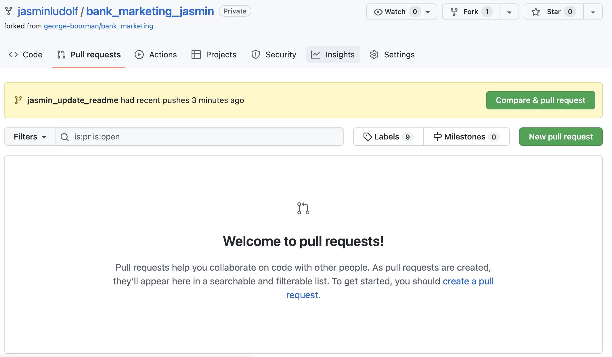 View of the pull requests tab in the forked repo