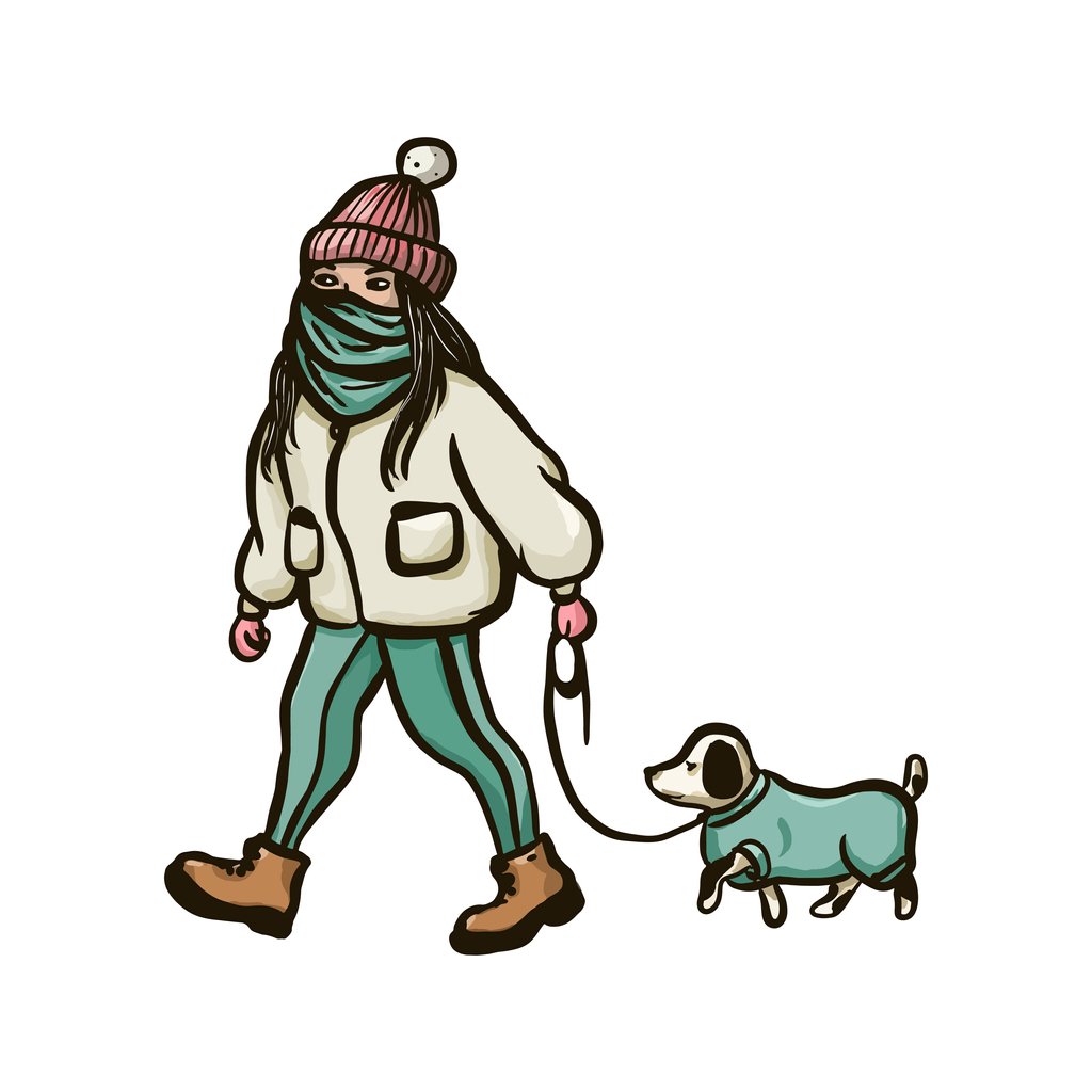 A person walking a dog. Both the person and dog are wearing coats.