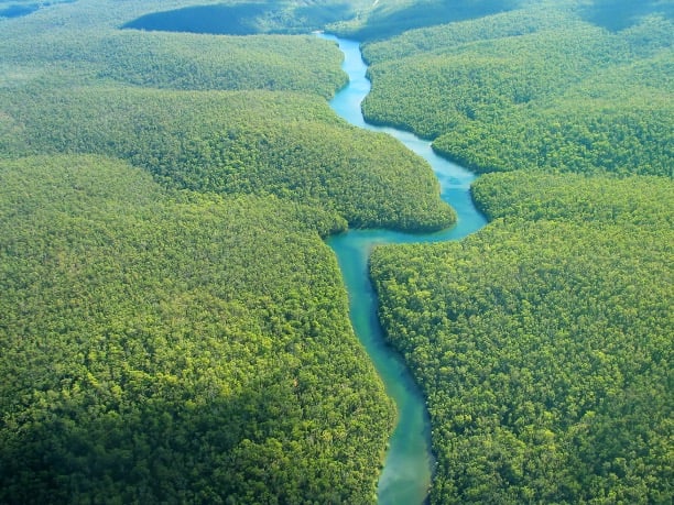Aerial photo of a river calmly flowing on a sunny day.