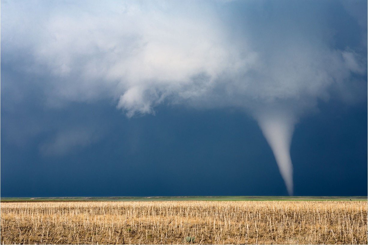 Photo of a tornado in a wheat field.