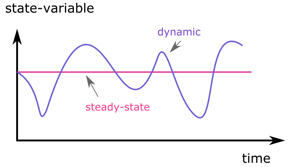 A plot showing the temporal evolution of state variables in dynamic and steady-state systems. In the dynamic system, the variable changes over time, while in the steady-state system, it remains constant.
